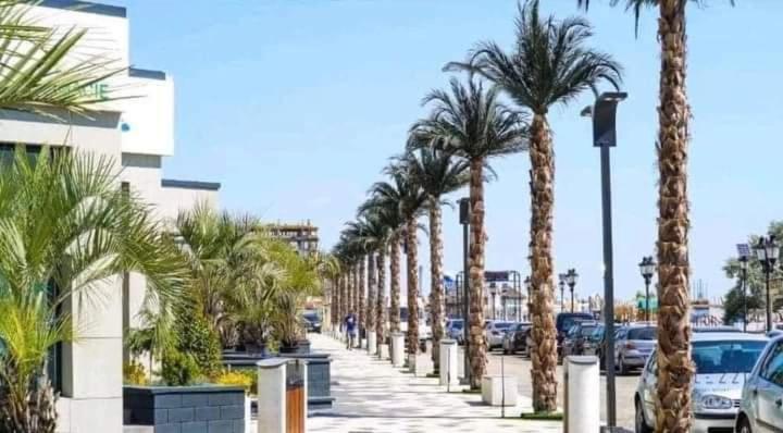 Apartament Mario Mamaia Nord Plaja Zanzibar Navodari Dış mekan fotoğraf